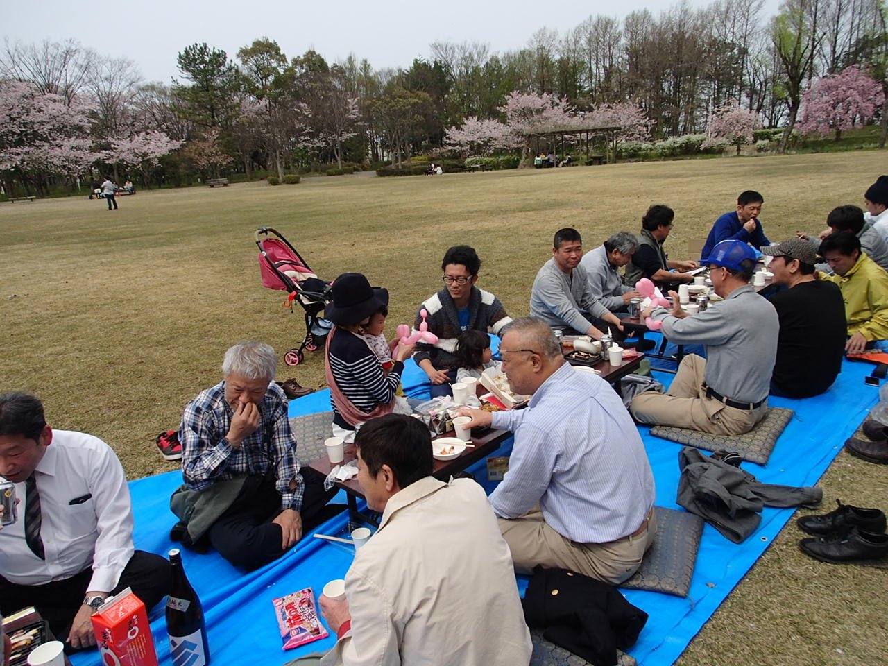 H28湖陽観桜会2