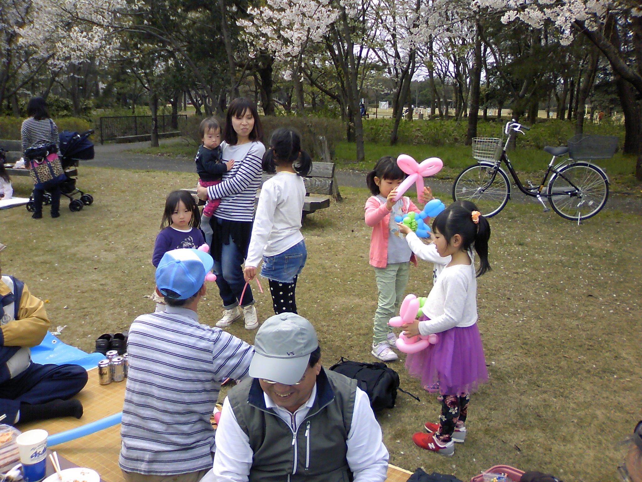 koyou_hanami1