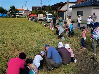 20150823_子ども会稲刈り2