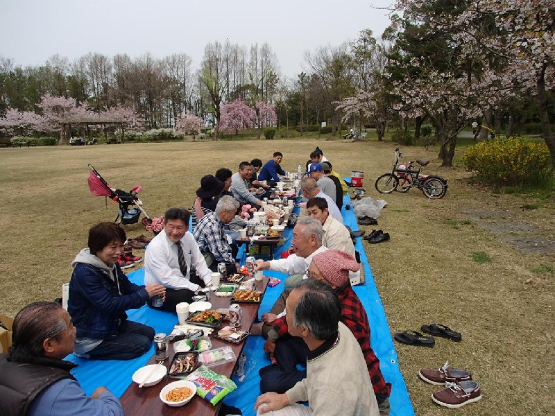 H28湖陽観桜会