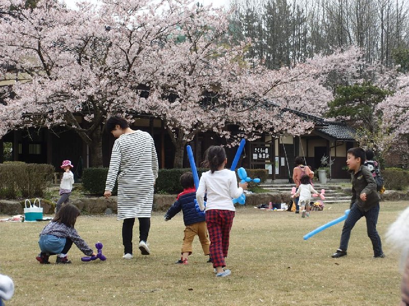 H28湖陽観桜会4